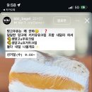 키키베이글