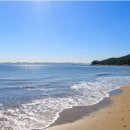 고금도펜션민박 이미지