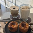 모든 곳이 포토존인 제천 콘크리트월 카페 후기✨☕️