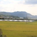 망경산성 이미지