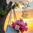 수지의료기 이미지