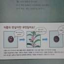 꼬마과학동화 북아트 | 6세책추천 초등전집 꼬마과학뒤집기 추천 포인트