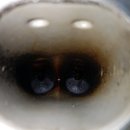 스피드메이트 이마트월배점 이미지