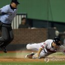 울산광역시 이미지