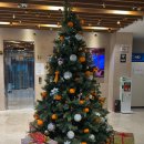 GS25에코휴먼빌 | 제주 서쪽 가성비 숙소 추천 에코그린리조트