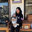 풍산중앙길(풍산읍) | 안동 아기랑 가기 좋은 한옥카페｜좌식 가능한 커피홀베이커리 안동풍산점