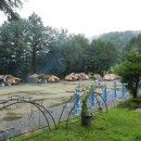 함평나비마을서울캠핑장 이미지