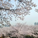 신석체육관 이미지