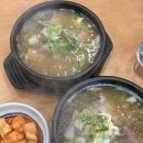 다왕갈비탕 | 포항갈비탕 맛집 추천 든든한 다왕갈비탕 포항 효자점