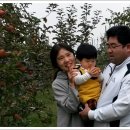 도겸농장 이미지