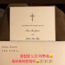 배정남 카카오 검색결과