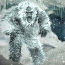 장보는 강아지와 고양이 이미지