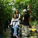 2009년 6월 4일 열대식물원 [진주수목원] 이미지