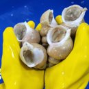 농수산마트 - 달성군 대실역북로2길 10 | 농수산마트