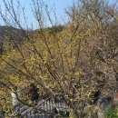 화개장터 | 하동 여행 필수코스 섬진강 화개장터 다녀온후기