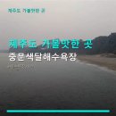 중문해수욕장주차장 | 제주도 가볼맛한 곳 중문색달해수욕장 물놀이와 서핑 즐기기 좋은 해수욕장 정보