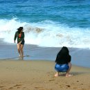 바다정원 이미지