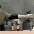 몽그라니 이미지