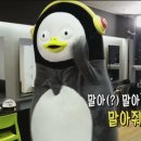 짜사이 이미지