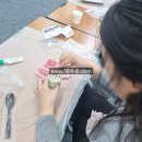 반려식물(홈가드닝) 이미지