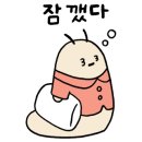 마루투어 이미지