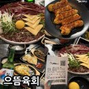 부산 하단 육회 맛집 당일 도축 뭉티기 전문점 으뜸육회 후기