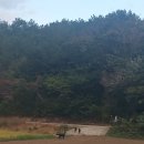 향림동산(흑염소농장) 이미지