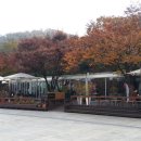 테라스커피 이미지