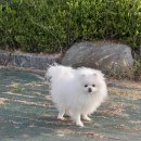 동산충전소 이미지