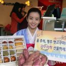 고구마명가