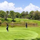 사파이어 이미지