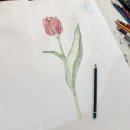 보태니컬 아트 이미지