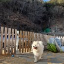 멍편한세상