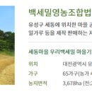 백세밀영농조합법인 이미지