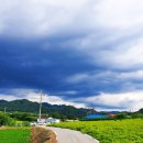 실미경로당 네이버블로그