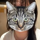 신신목장 이미지