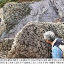 스트로마톨라이트 이미지