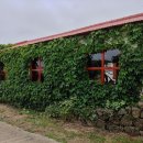 희진주유소 이미지