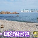 유월 이미지