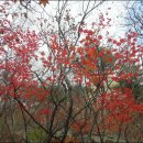 백운1로 이미지