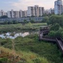 구로-구로-구로-781 이미지