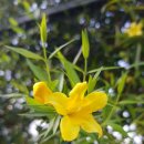 덕포초등학교 이미지