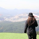 더쎈패러글라이딩 이미지