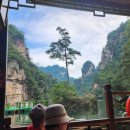 시크릿 행정사 사무소 이미지