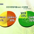 유전자 조작 GMO 식품의 문제점 이미지