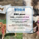 포베오 이미지