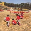 에코새싹유치원 이미지