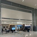 면장인칼국수 | 인천공항 2터미널 직원추천 신상 칼국수 맛집 내돈내산 도선 후기