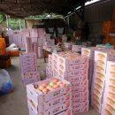 원정리마을회관 이미지