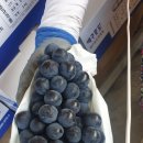 만택농장 이미지